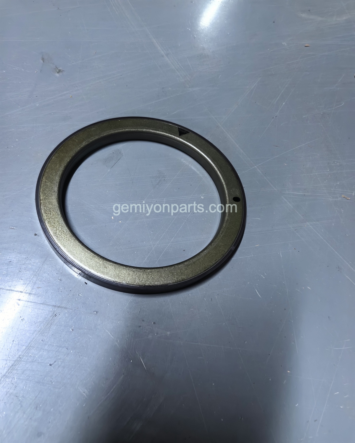 F150 Original Rear Main Seal